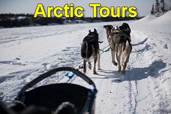 Arctic Tours